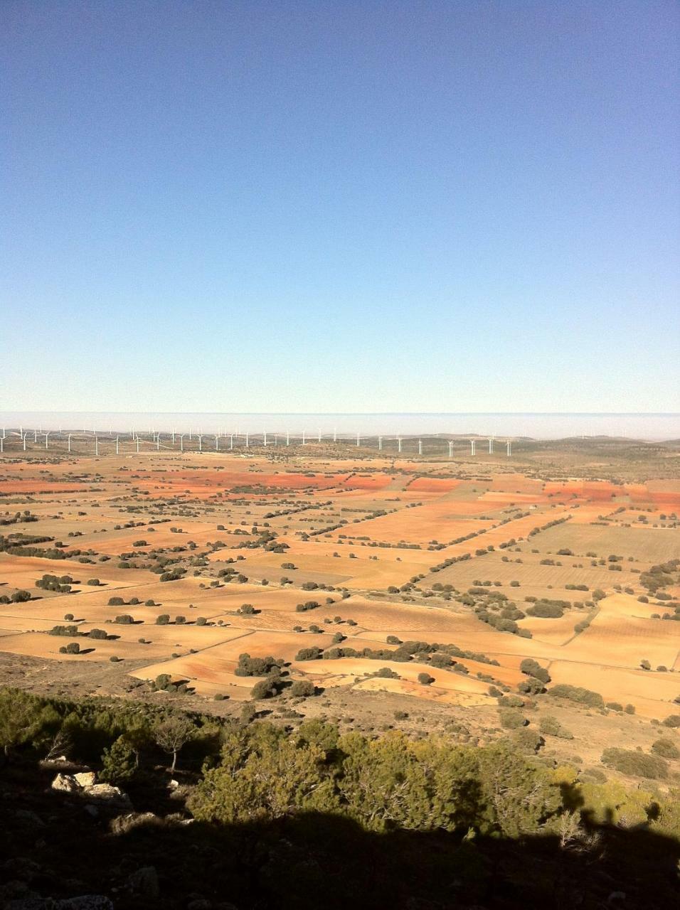 La Posada De Higueruela Exteriör bild